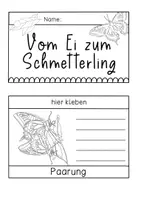 Vorschau - Arbeitsblätter - Lebenszyklus des Schmetterlings - Flipbook | Klappheft in 6 Versionen - Seite 1