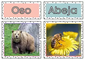 Vista previa - Unidades / Secuencias / Situaciones de Aprendizaje - Lecto animales imagen-palabra - Portada