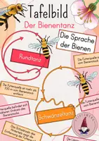 Vorschau - Unterrichtsreihen - Tafelbild/ Legebild: Der Bienentanz - Die Sprache der Bienen - Deckblatt