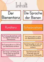 Vorschau - Unterrichtsreihen - Tafelbild/ Legebild: Der Bienentanz - Die Sprache der Bienen - Seite 1