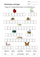Vorschau - Stundenentwürfe - Arbeitsheft Insekten Englisch - Arbeitsblätter inkl. Mini-Buch - Seite 2