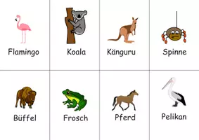 Vorschau - Spiele - Flashcards Tiere auf Deutsch - über 100+ Tiere - Seite 2