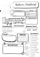 Vorschau - Arbeitsblätter - Steckbrief Nashorn - Seite 2