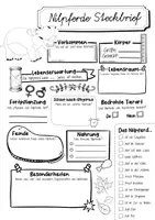 Vorschau - Arbeitsblätter - Steckbrief Nilpferd - Seite 2
