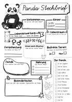 Vorschau - Arbeitsblätter - Steckbrief Panda - Seite 2