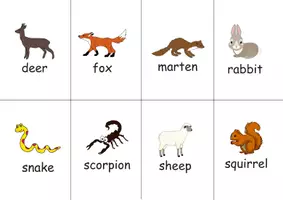Vorschau - Spiele - Flashcards Tiere auf Englisch - über 100+ Tiere - Seite 3