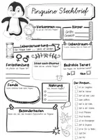 Vorschau - Arbeitsblätter - Steckbrief Pinguin - Seite 2