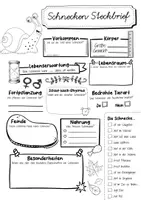 Vorschau - Arbeitsblätter - Steckbrief Schnecke - Seite 3