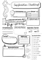 Vorschau - Arbeitsblätter - Steckbrief Seepferdchen - Seite 3