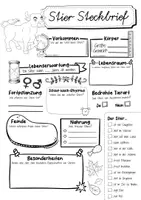 Vorschau - Arbeitsblätter - Steckbrief Stier - Seite 3