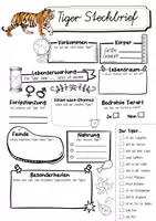 Vorschau - Arbeitsblätter - Steckbrief Tiger - Seite 2