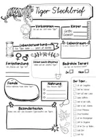 Vorschau - Arbeitsblätter - Steckbrief Tiger - Seite 3