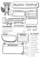 Vorschau - Arbeitsblätter - Steckbrief Waschbär - Seite 2