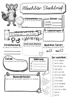 Vorschau - Arbeitsblätter - Steckbrief Waschbär - Seite 3