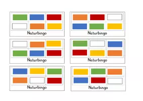 Vorschau - Spiele - Naturentdeckungen Naturbingo Spiel - Seite 3