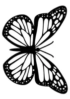 Vorschau - Mal- und Bastelvorlagen - Schmetterling Ausmalbilder, Kunst Grundschule - Seite 1