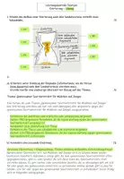Vorschau - Arbeitsblätter - Erörterung - Aufbau Sanduhrprinzip - Test - inklusive Lösung - Seite 3