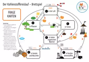 Vorschau - Spiele - Kohlenstoffkreislauf - Brettspiel - Seite 2