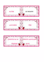 Aperçu - Apprentissages en autonomie - Français : Orthographe : dominos 2 sur le féminin particulier p3 - Page de couverture
