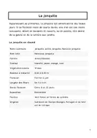 Aperçu - Feuilles d'exercices - Printemps Cycle de vie de la jonquille et informations - Page 2