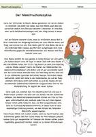 Vorschau - Arbeitsblätter - Themenheft_zum_Menstruationszyklus_ - Seite 1