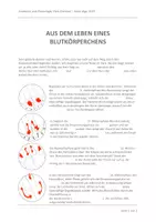 Vorschau - Arbeitsblätter - Anatomie und Physiologie, Herz-Kreislauf Wiederholung - Deckblatt