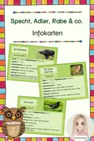 Vorschau - Stationenlernen - Specht, Adler, Rabe & co. - Infokarten - Deckblatt