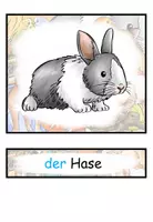 Vorschau - Arbeitsblätter - Wortschatzpaket "Haustiere" DaZ / DaF / Deutsch - Seite 2