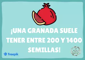 Vista previa - Refuerzo / NEE / Materiales de apoyo - SABÍAS QUÉ 1: TARJETAS CURIOSIDADES - página 3
