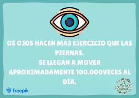 Vista previa - Refuerzo / NEE / Materiales de apoyo - SABÍAS QUÉ 3: TARJETAS CON CURIOSIDADES - página 2