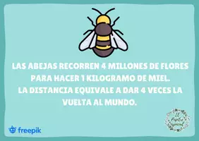 Vista previa - Refuerzo / NEE / Materiales de apoyo - SABÍAS QUÉ 3: TARJETAS CON CURIOSIDADES - página 3