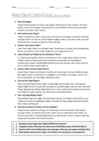Vorschau - Arbeitsblätter - AB mit Fragen zum Thema "Flügel" + Lösungsblatt - Seite 1