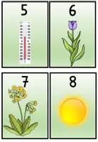 Vorschau - Arbeitsblätter - Frühling : Lesespaziergang Frühblüher - Seite 3