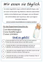 Vorschau - Experimente - Bakterienkulturen züchten Experiment - Seite 2