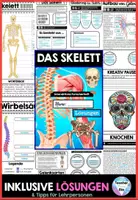 Vorschau - Unterrichtsreihen - Das Skelett | Der Mensch - Interaktives Forscherheft | KNOCHEN & KNORPEL – WIRBELSÄULE – KNOCHENARTEN – KNOCHENAUFBAU – GELENKSARTEN & AUFBAU - sofort einsetzbar - Seite 3