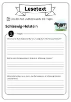 Vorschau - Arbeitsblätter - Leseverständnis (Leseverstehen) - Schleswig-Holstein + Lösung (mit didaktischer Resverve) - Seite 3