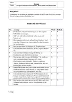 Vorschau - Arbeitsblätter - Produzenten, Destruenten und Konsumenten im Vergleich - Seite 1