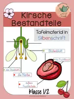 Vorschau - Arbeitsblätter - Materialpaket - Seite 1