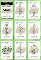 Vorschau - Spiele - Wiesenpflanzen - "Ich habe...wer hat?" - Seite 1