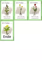 Vorschau - Spiele - Wiesenpflanzen - "Ich habe...wer hat?" - Seite 2