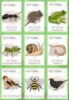 Vorschau - Spiele - Wiesentiere - "Ich habe...wer hat?" - Seite 2