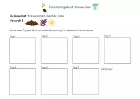 Vorschau - Arbeitsblätter - Forschertagebuch Kresse_einfach - Seite 3