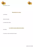 Aperçu - Fiches - Journal de bord pour un stage de 3 semaines - Page 2