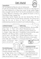 Vorschau - Arbeitsblätter - differenzierte Sachtexte zu 10 Haustieren - Seite 2