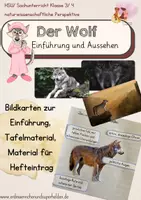 Vorschau - Unterrichtsreihen - Materialpaket: Der Wolf - Gesamtpaket - Seite 1