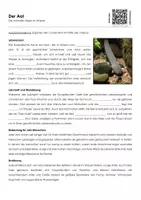 Vorschau - Arbeitsblätter - Der Aal - Arbeitsblatt mit Erklärvideo - Deckblatt