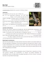 Vorschau - Arbeitsblätter - Der Aal (Materialpaket) - Seite 1