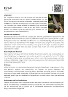 Vorschau - Arbeitsblätter - Der Aal - Arbeitsblatt (Infotext und Übungen) - Deckblatt