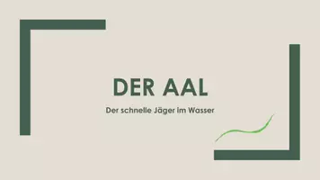 Vorschau - Präsentationen/Tafelbilder - Der Aal (Präsentation und H5P) - Deckblatt