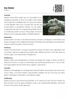 Vorschau - Arbeitsblätter - Der Eisbär - Arbeitsblatt (Infotext und Übungen) - Deckblatt
